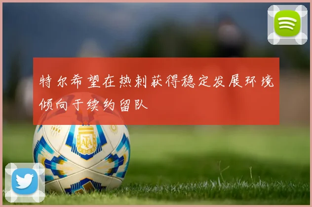 特尔希望在热刺获得稳定发展环境倾向于续约留队