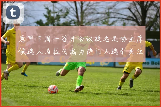 意甲下周一召开会议提名足协主席候选人马拉戈成为热门人选引关注