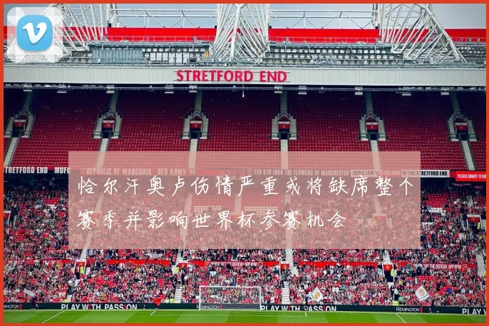 恰尔汗奥卢伤情严重或将缺席整个赛季并影响世界杯参赛机会